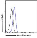 FCGR2B Antibody in Flow Cytometry (Flow)