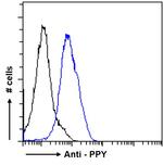 PPY Antibody in Flow Cytometry (Flow)