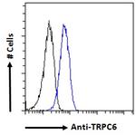TRPC6 Antibody in Flow Cytometry (Flow)