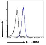Connexin 26 Antibody in Flow Cytometry (Flow)