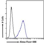 FXR Antibody in Flow Cytometry (Flow)