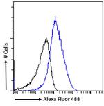 FABP2 Antibody in Flow Cytometry (Flow)