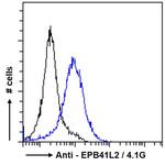 EPB41L2 Antibody in Flow Cytometry (Flow)
