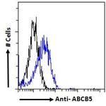 ABCB5 Antibody in Flow Cytometry (Flow)