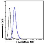 ABCA9 Antibody in Flow Cytometry (Flow)