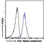 SERPINF2 Antibody in Flow Cytometry (Flow)