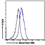 P2X4 Antibody in Flow Cytometry (Flow)