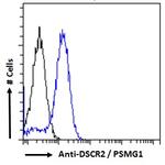 PSMG1 Antibody in Flow Cytometry (Flow)