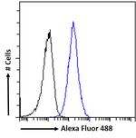 RDH5 Antibody in Flow Cytometry (Flow)