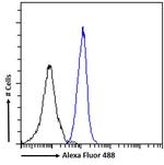 Dynactin 3 Antibody in Flow Cytometry (Flow)