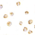 SUMO1 Polyclonal Antibody