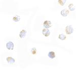 ORAI2 Polyclonal Antibody