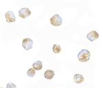 ORAI3 Polyclonal Antibody