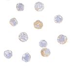 TDP-43 Polyclonal Antibody