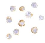 TRIM25 Polyclonal Antibody