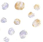 Kinesin 5A Polyclonal Antibody