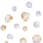 Kinesin 5A Polyclonal Antibody