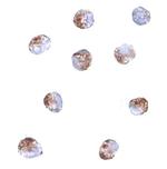 PDCD5 Polyclonal Antibody