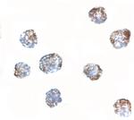 MATN3 Polyclonal Antibody