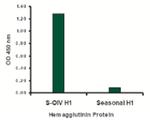 Swine Influenza H1N1 HA Antibody in ELISA (ELISA)