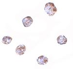 RGS21 Antibody in Immunocytochemistry (ICC/IF)