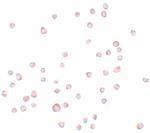 ENC-2 Polyclonal Antibody