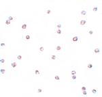 FOXO3A Polyclonal Antibody