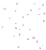 USP10 Polyclonal Antibody