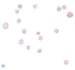 ATP11A Polyclonal Antibody