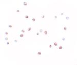 NOD4 Polyclonal Antibody