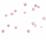 NALP13 Polyclonal Antibody