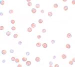 PAPPA2 Polyclonal Antibody