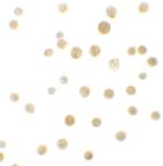 BCL9L Polyclonal Antibody