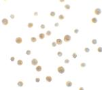 DYRK1A Polyclonal Antibody