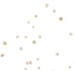 IRF4 Polyclonal Antibody