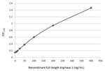 Arginase 1 Antibody in ELISA (ELISA)