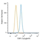 53BP1 Antibody in Flow Cytometry (Flow)