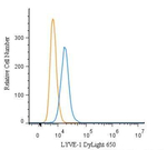 LYVE1 Polyclonal Antibody, DyLight™ 650