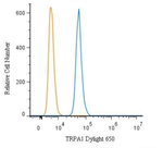 TRPA1 Polyclonal Antibody, DyLight™ 650