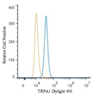 TRPA1 Polyclonal Antibody, DyLight™ 488