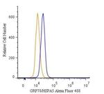 GRP78 Antibody in Flow Cytometry (Flow)