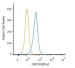 GRP78 Antibody in Flow Cytometry (Flow)