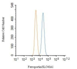 Ferroportin Antibody in Flow Cytometry (Flow)