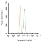 Ferroportin Antibody in Flow Cytometry (Flow)