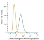 LDHA Antibody in Flow Cytometry (Flow)