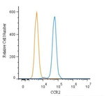 CCR2 Antibody in Flow Cytometry (Flow)