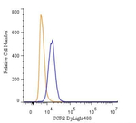 CCR2 Polyclonal Antibody