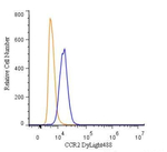 CCR2 Polyclonal Antibody, DyLight™ 488