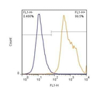 Latexin Antibody in Flow Cytometry (Flow)