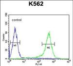 TMEM132D Antibody in Flow Cytometry (Flow)